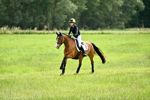 Goldene Schärpe Ponys in Löningen 2026 | 06062026 Gelände 2Abt_1361 
