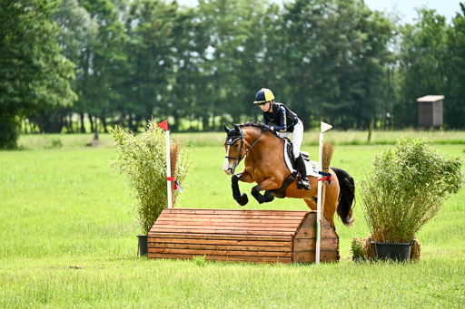 Goldene Schärpe Ponys in Löningen 2026 | 06062026 Gelände 2Abt_1362 