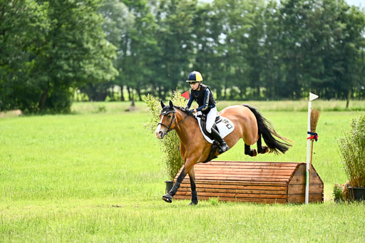 Goldene Schärpe Ponys in Löningen 2026 | 06062026 Gelände 2Abt_1365 
