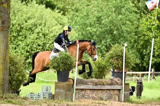 Goldene Schärpe Ponys in Löningen 2026 | 06062026 Gelände 2Abt_1372 