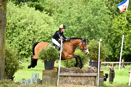 Goldene Schärpe Ponys in Löningen 2026 | 06062026 Gelände 2Abt_1373 