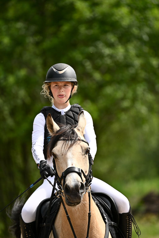 Goldene Schärpe Ponys in Löningen 2026 | 06062026 Gelände 2Abt_1376 