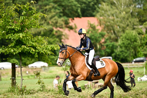 Goldene Schärpe Ponys in Löningen 2026 | 06062026 Gelände 2Abt_1377 