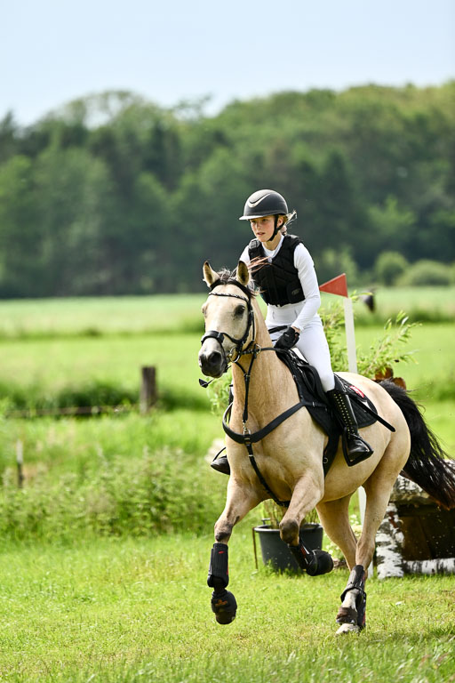 Goldene Schärpe Ponys in Löningen 2026 | 06062026 Gelände 2Abt_1389 