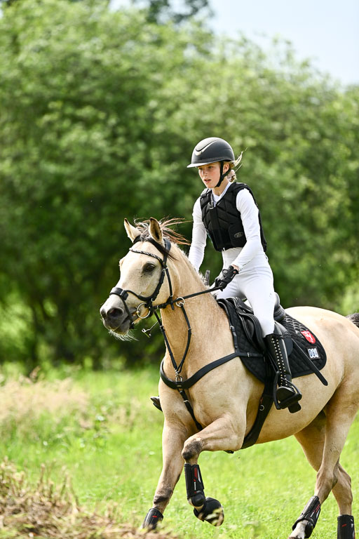 Goldene Schärpe Ponys in Löningen 2026 | 06062026 Gelände 2Abt_1390 