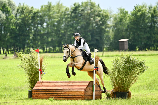 Goldene Schärpe Ponys in Löningen 2026 | 06062026 Gelände 2Abt_1394 