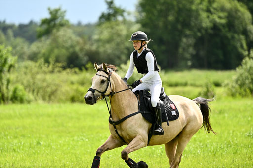 Goldene Schärpe Ponys in Löningen 2026 | 06062026 Gelände 2Abt_1401 