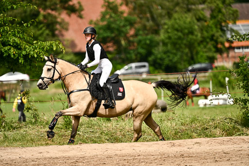 Goldene Schärpe Ponys in Löningen 2026 | 06062026 Gelände 2Abt_1408 