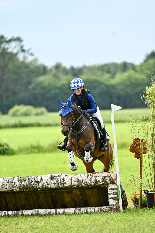 Goldene Schärpe Ponys in Löningen 2026 | 06062026 Gelände 2Abt_1415 