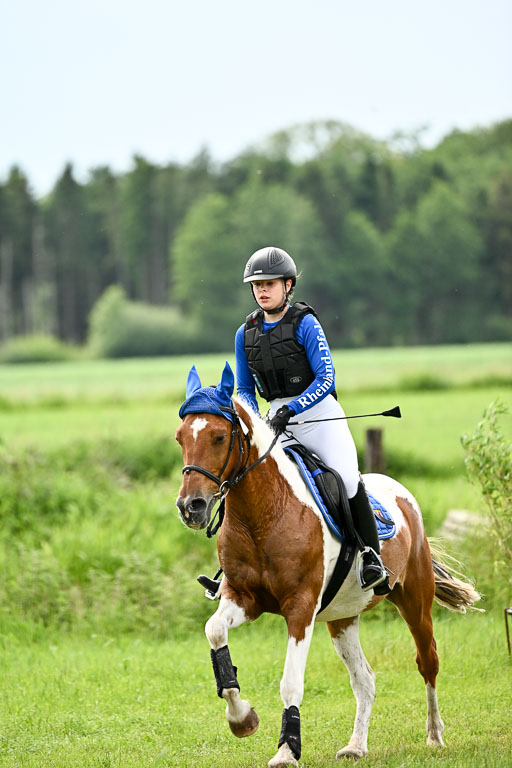 Goldene Schärpe Ponys in Löningen 2026 | 06062026 Gelände 2Abt_1457 
