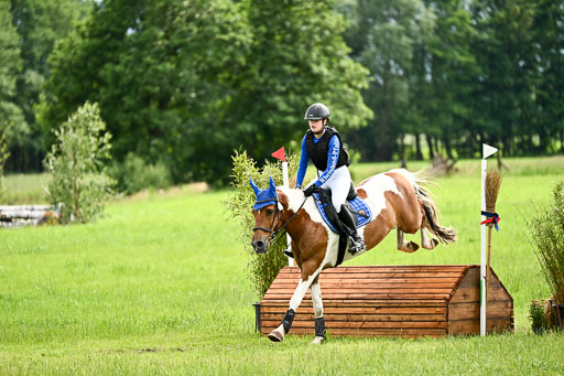 Goldene Schärpe Ponys in Löningen 2026 | 06062026 Gelände 2Abt_1461 