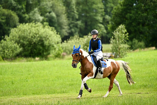 Goldene Schärpe Ponys in Löningen 2026 | 06062026 Gelände 2Abt_1462 