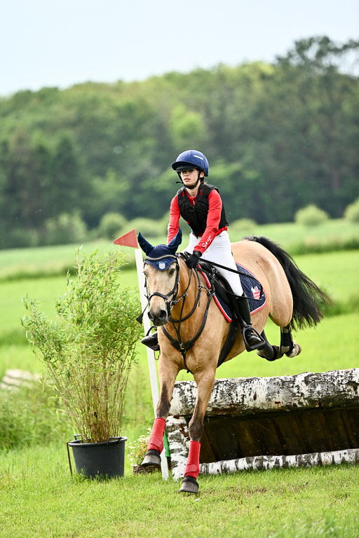 Goldene Schärpe Ponys in Löningen 2026 | 06062026 Gelände 2Abt_1481 