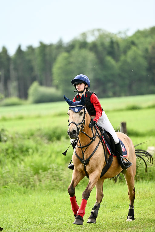 Goldene Schärpe Ponys in Löningen 2026 | 06062026 Gelände 2Abt_1482 