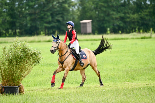 Goldene Schärpe Ponys in Löningen 2026 | 06062026 Gelände 2Abt_1486 