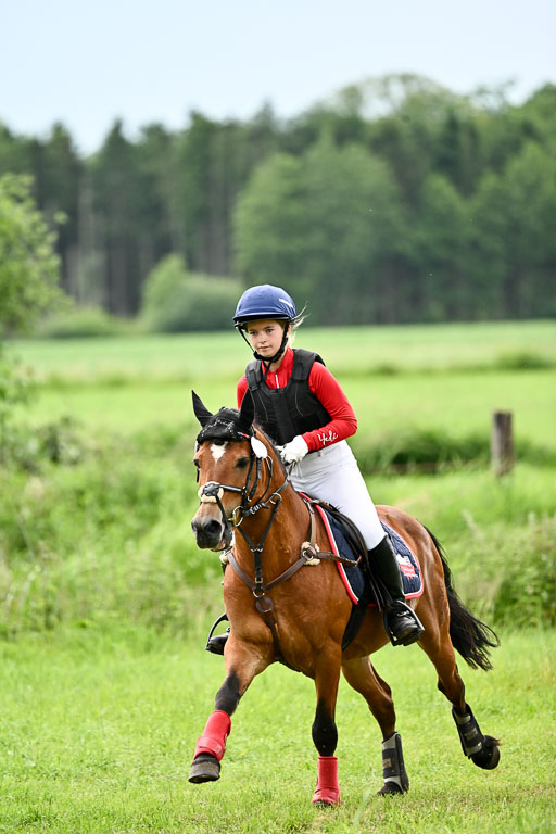 Goldene Schärpe Ponys in Löningen 2026 | 06062026 Gelände 2Abt_1515 