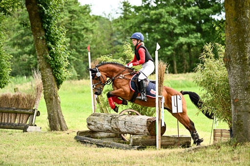 Goldene Schärpe Ponys in Löningen 2026 | 06062026 Gelände 2Abt_1529 