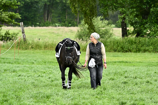  | Impressionen GS 26 Pony 