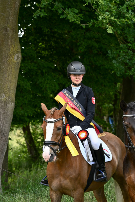 Goldene Schärpe Ponys in Löningen 2026 | 07062026 Siegerehrung_145 
