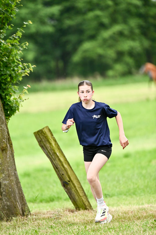 Goldene Schärpe Ponys in Löningen 2026 | 095062026 Sport_071 