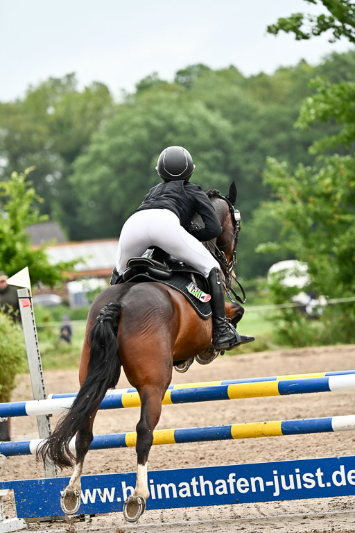 Goldene Schärpe Ponys in Löningen 2026 | 07062025 Springen 1Abt _005 