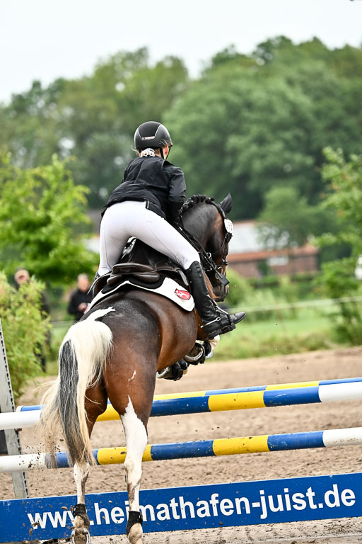 Goldene Schärpe Ponys in Löningen 2026 | 07062025 Springen 1Abt _014 