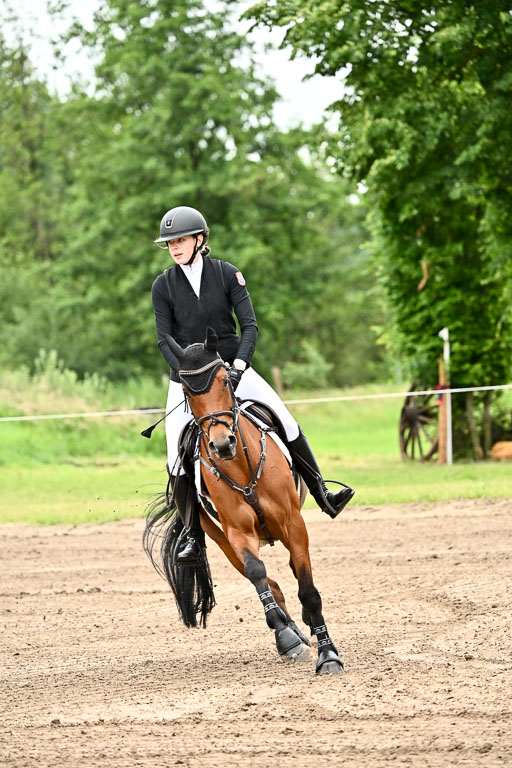 Goldene Schärpe Ponys in Löningen 2026 | 07062025 Springen 1Abt _034 