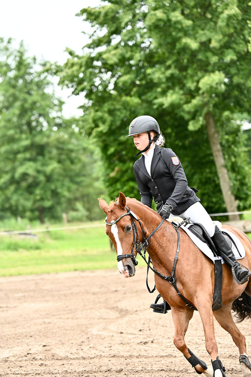 Goldene Schärpe Ponys in Löningen 2026 | 07062025 Springen 1Abt _052 