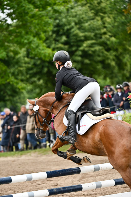 Goldene Schärpe Ponys in Löningen 2026 | 07062025 Springen 1Abt _053 