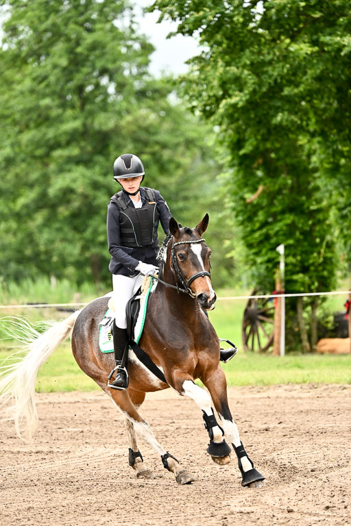 Goldene Schärpe Ponys in Löningen 2026 | 07062025 Springen 1Abt _087 