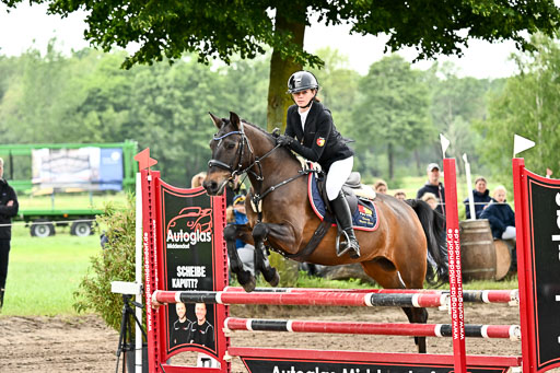 Goldene Schärpe Ponys in Löningen 2026 | 07062025 Springen 1Abt _101 