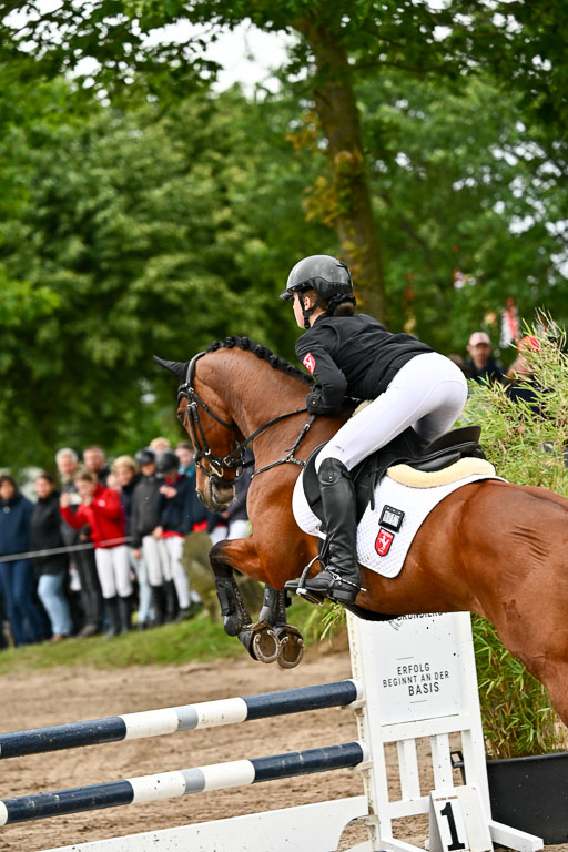 Goldene Schärpe Ponys in Löningen 2026 | 07062025 Springen 1Abt _103 