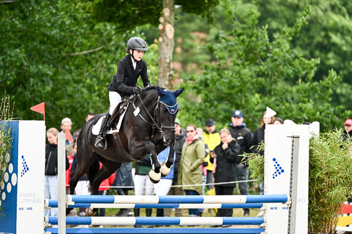 Goldene Schärpe Ponys in Löningen 2026 | 07062025 Springen 1Abt _132 