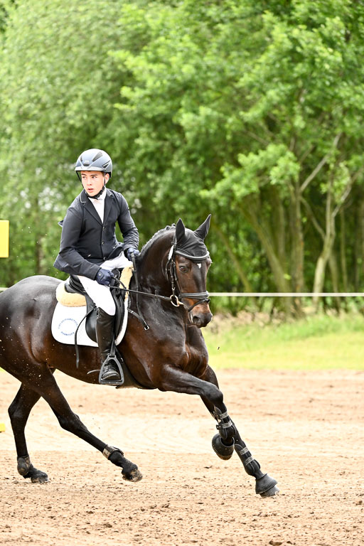 Goldene Schärpe Ponys in Löningen 2026 | 07062025 Springen 1Abt _142 