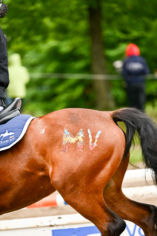 Goldene Schärpe Ponys in Löningen 2026 | 07062025 Springen 1Abt _154 