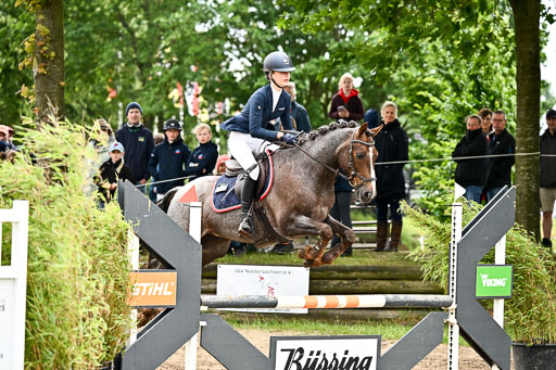 Goldene Schärpe Ponys in Löningen 2026 | 07062025 Springen 1Abt _164 
