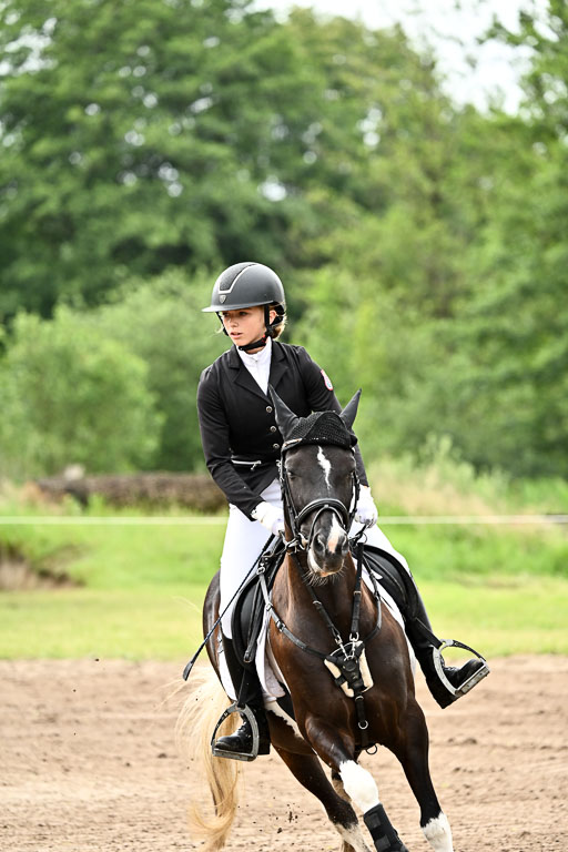 Goldene Schärpe Ponys in Löningen 2026 | 07062025 Springen 1Abt _171 