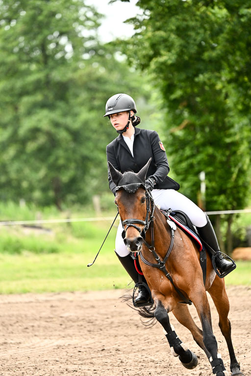Goldene Schärpe Ponys in Löningen 2026 | 07062025 Springen 1Abt _184 