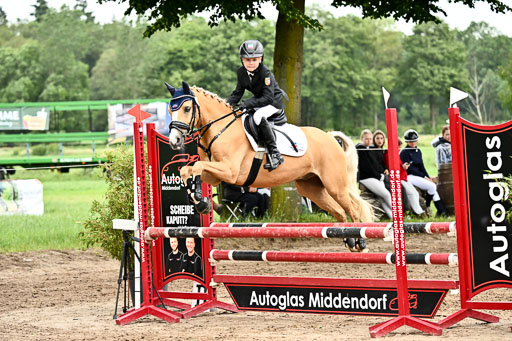 Goldene Schärpe Ponys in Löningen 2026 | 07062025 Springen 1Abt _301 