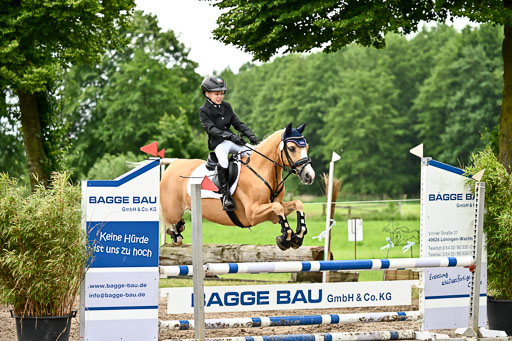 Goldene Schärpe Ponys in Löningen 2026 | 07062025 Springen 1Abt _302 