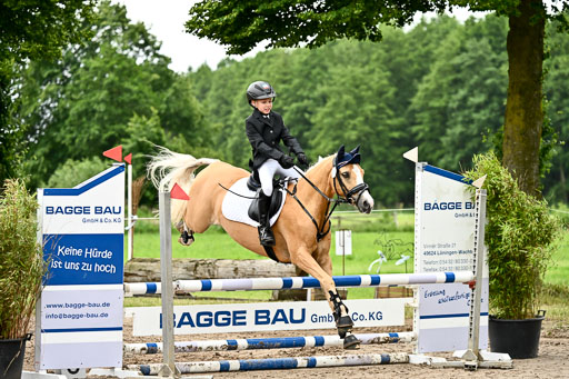 Goldene Schärpe Ponys in Löningen 2026 | 07062025 Springen 1Abt _303 
