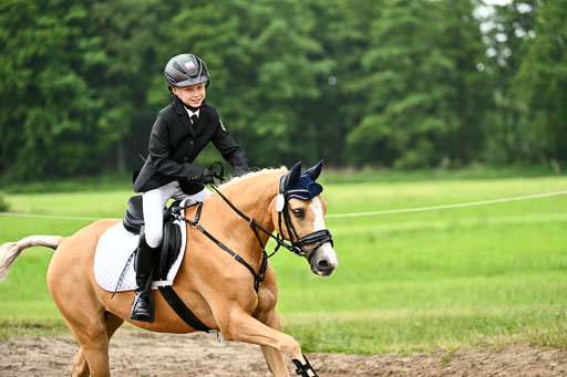Goldene Schärpe Ponys in Löningen 2026 | 07062025 Springen 1Abt _305 