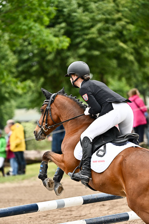 Goldene Schärpe Ponys in Löningen 2026 | 07062025 Springen 1Abt _306 