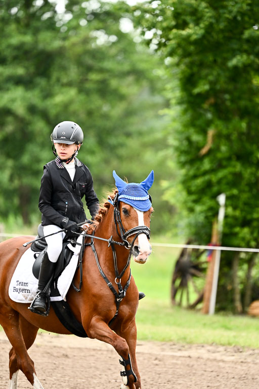 Goldene Schärpe Ponys in Löningen 2026 | 07062025 Springen 1Abt _307 