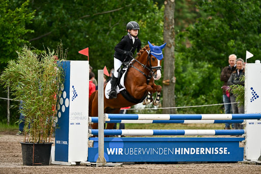 Goldene Schärpe Ponys in Löningen 2026 | 07062025 Springen 1Abt _309 