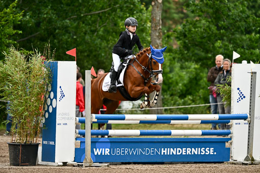 Goldene Schärpe Ponys in Löningen 2026 | 07062025 Springen 1Abt _310 
