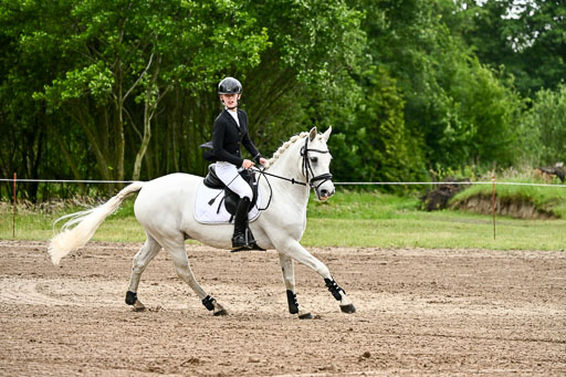 Goldene Schärpe Ponys in Löningen 2026 | 07062025 Springen 1Abt _317 