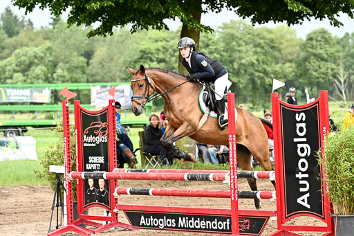 Goldene Schärpe Ponys in Löningen 2026 | 07062025 Springen 1Abt _335 