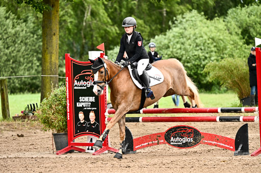 Goldene Schärpe Ponys in Löningen 2026 | 07062025 Springen 1Abt _352 