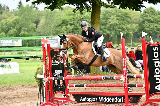 Goldene Schärpe Ponys in Löningen 2026 | 07062025 Springen 1Abt _354 